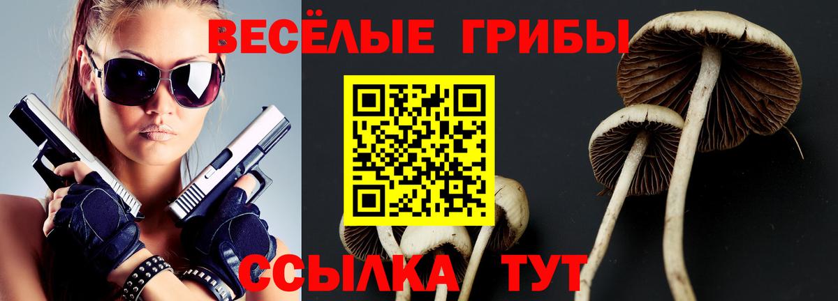 Псилоцибиновые грибы GOLDEN TEACHER  Вход с VPN  Карачаевск 
